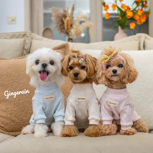 有机棉打底衫布桃子的梦想小型犬