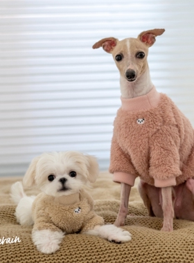 GINGERAIN 宠物狗狗泰迪小型犬舒棉绒自发热护肚超轻睡衣灵缇可卡