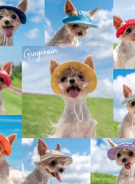 GINGERAIN 彩色渔夫帽约克夏马尔济斯小型犬夏季防晒露耳太阳帽