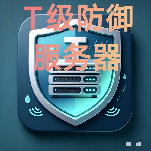 T级防御服务器 无限流量 4核2G内存