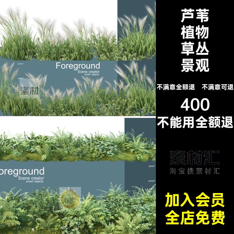 小麦植物绿色植物ps芦苇景观背景蕨类麦穗芦苇植物草丛景观海报