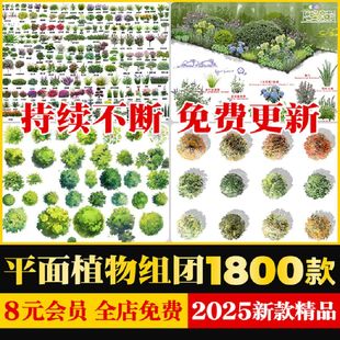 彩平图小清新平面植物组团彩平平面树psd分层免扣ps素材公园景观