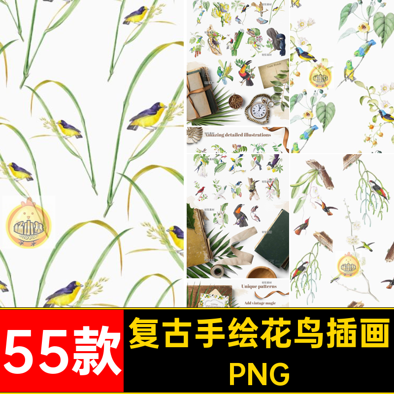 55款复古手绘花鸟插画免扣PNGPNG鸟类PNG图拼贴精美PNG森林植物