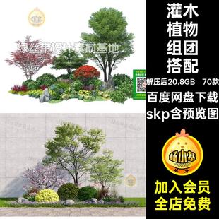 70款乔木植物组团搭配合集草图小品skp组合庭院SU园林景观大师