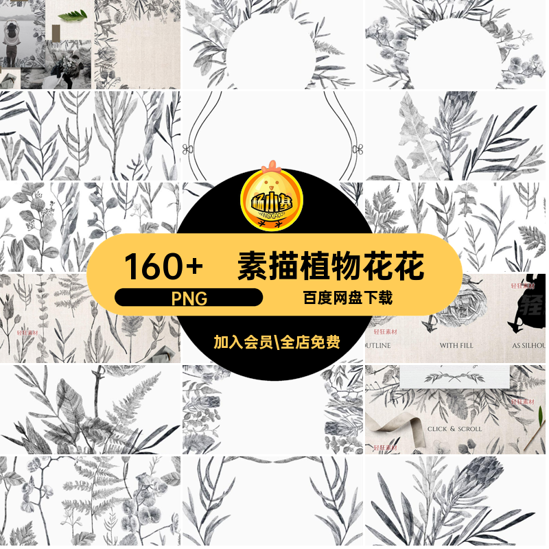 黑白植物花花PNG插画铅笔素描文艺手绘边框花环扣160 免高清花卉