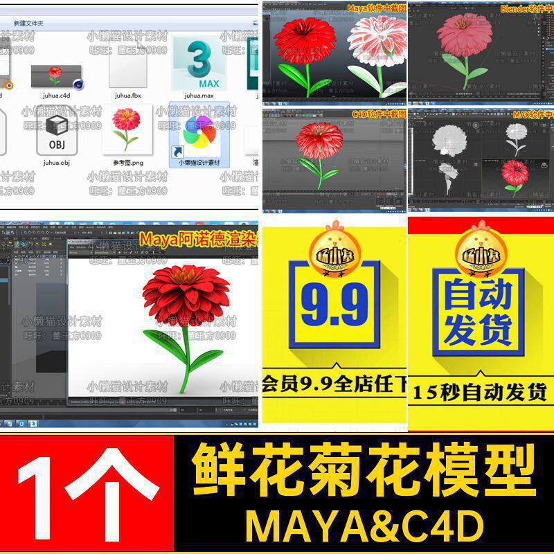 菊花模型素材百日菊1个obj花卉MAYA&C4DblenerfbxMayamaxc鲜花