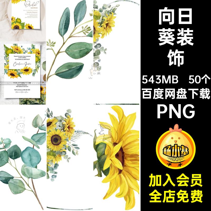 花朵插画PNG手绘叶子装饰植物邀请函免扣50个边框向日葵水彩水彩