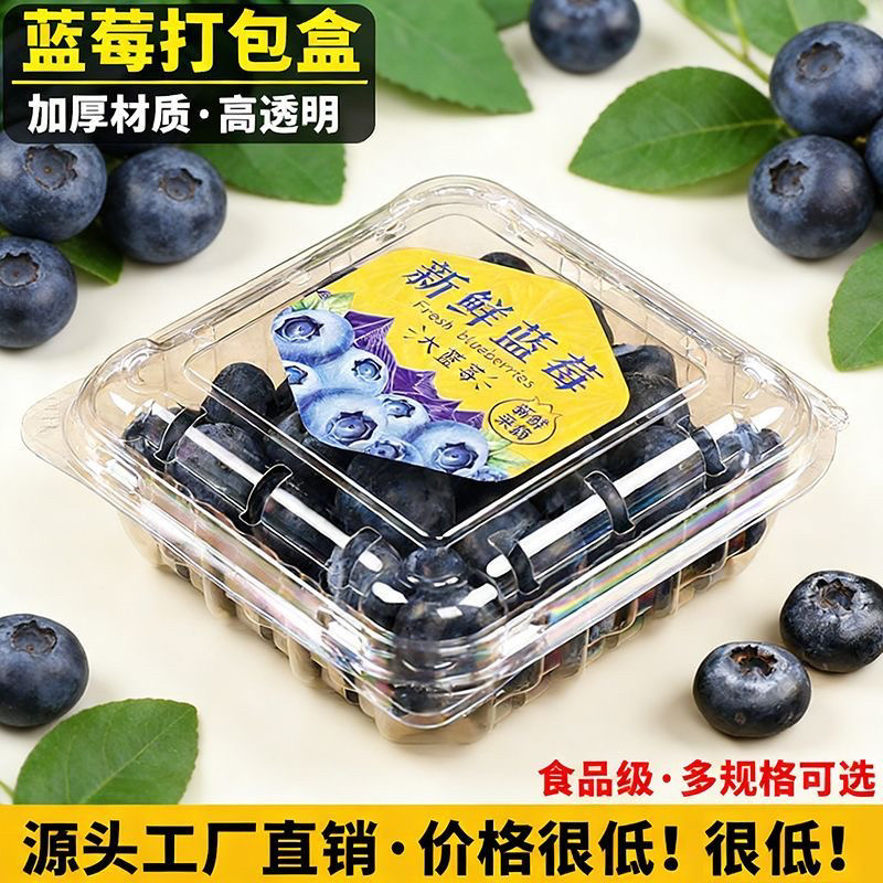 一次性蓝莓125克盒透明桑葚盒树莓桑果盒食品级包装盒蓝莓盒装