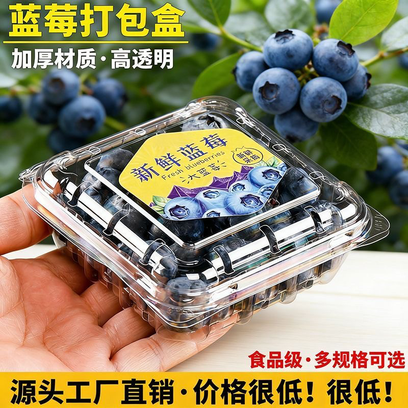 一次性蓝莓125克盒透明桑葚盒树莓桑果盒食品级包装盒蓝莓盒装