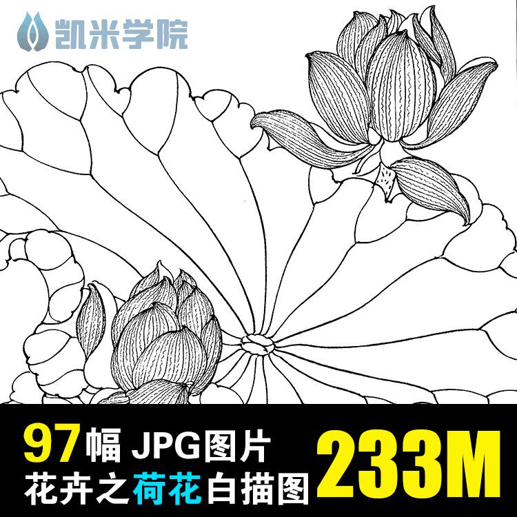 工笔荷花白描线稿手绘临摹上色练习底稿花鸟绘画设计素材图电子版