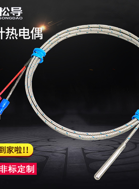探针热电偶K型电热偶简易温度探头E型针式感温线Pt100温度传感器
