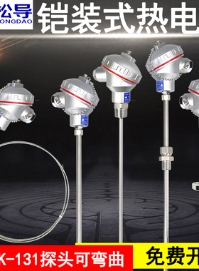 K型铠装热电偶WRNK-131/231催化燃烧炉温度探头电热偶Pt100热电阻