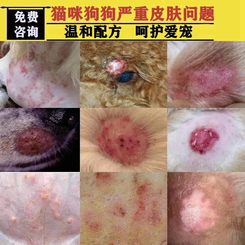 治疗狗狗皮肤外用药膏宠物猫咪狗狗皮肤专用皮肤痒狗身上长小红点