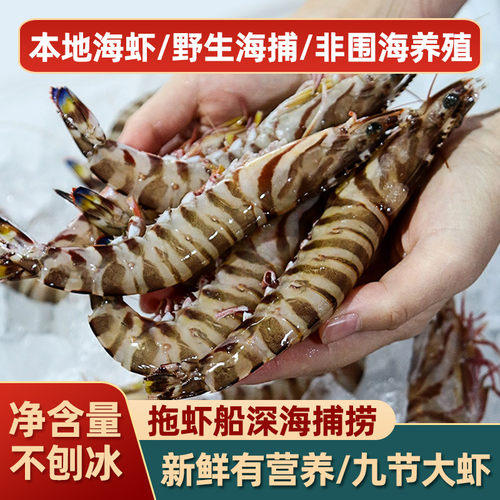 舟山海鲜九节基围大虾速冻