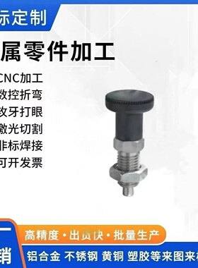 ZAG01 ZAG02 ZAG03 ZAG04 ZAG05 ZAG06 ZAG11 分度销