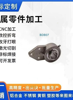 BDB06 BDB07 E-BDB06带座轴承