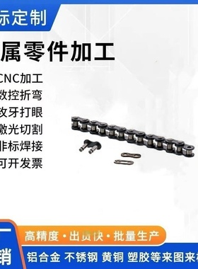 CHE25/CHES25 链条 25B