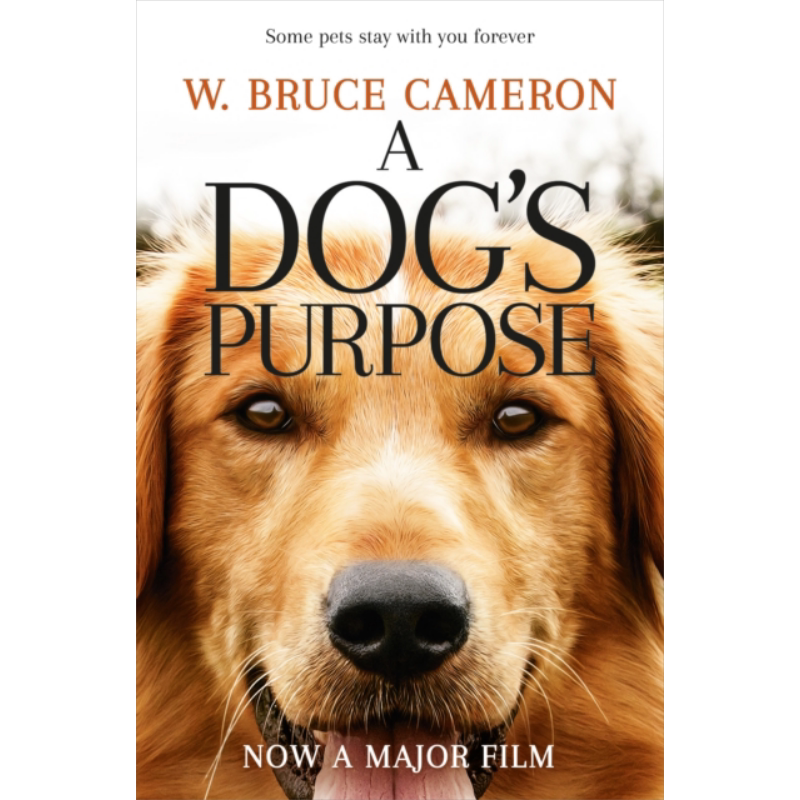 预售 一条狗的使命 电影版 新版 A Dogs Purpose 英文原版 布鲁斯 卡梅隆 W Bruce Cameron 治愈电影小说 又日新