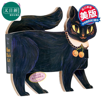 异形书：一只小黑猫英文原版
