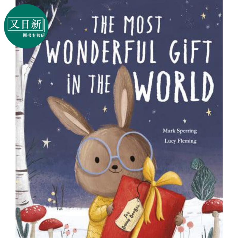 lucy fleming:the most wonderful gift in the world 英文原版 进口