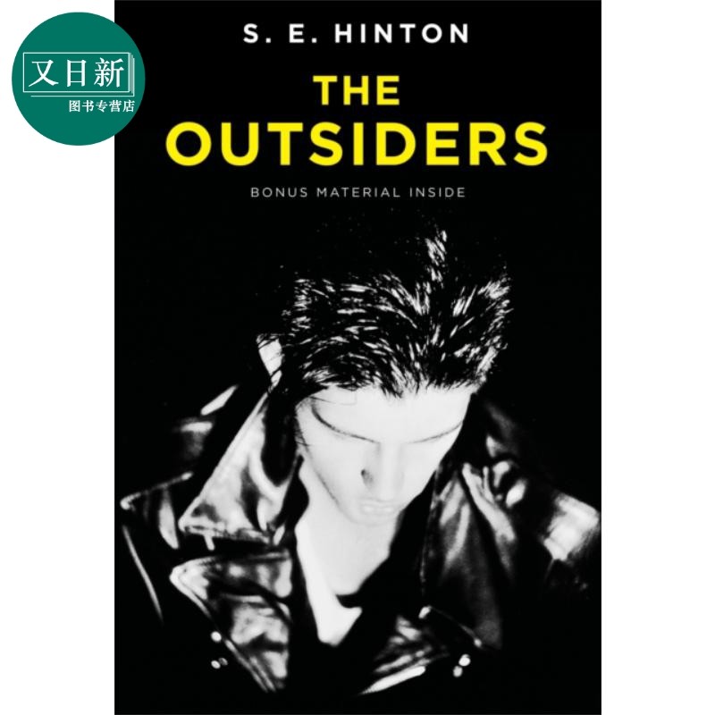 常青藤国际大奖小说追逐金色的少年 局外人英文原版 The Outsiders S.E.Hinton苏珊埃洛伊斯欣顿青少年读物 又日新