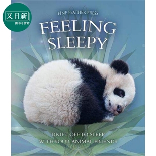 英文原版 进口原版 0岁到5岁 Feeling Andrea 我困了 儿童图画书 Pinnington Sleepy