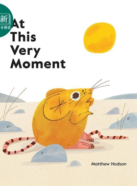 Matthew Hodson At This Very Moment 就在这一刻 亲子图画书 儿童诗歌故事绘本 动物 英文原版进口图书 4-7岁