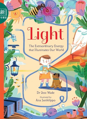 光 点亮世界的非凡能量 Light The Extraordinary Energy That Illuminates Our World 英文原版 儿童绘本读物 又日新