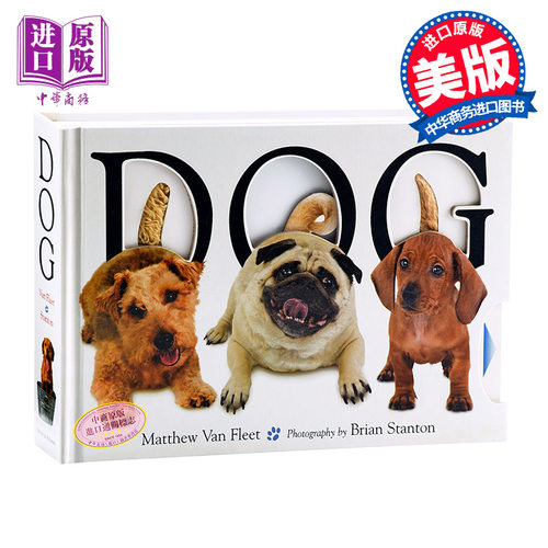 英文原版 Dog 狗 趣味启蒙认知 动物 大开本纸板触摸操作书 Matthew Van Fleet 儿童认知玩具书 启蒙认识 精装