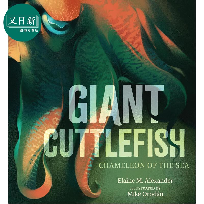 巨型乌贼 海洋中的变色龙 Giant Cuttlefish Chameleon of the Sea 英文原版儿童绘本海洋生物动物知识科普图画书 又日新
