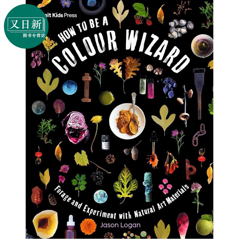 Jason Logan How to Be a Colour Wizard 如何成为色彩大师 艺术美感培养 化学科学 天然材料采集 英文原版进口图书 又日新