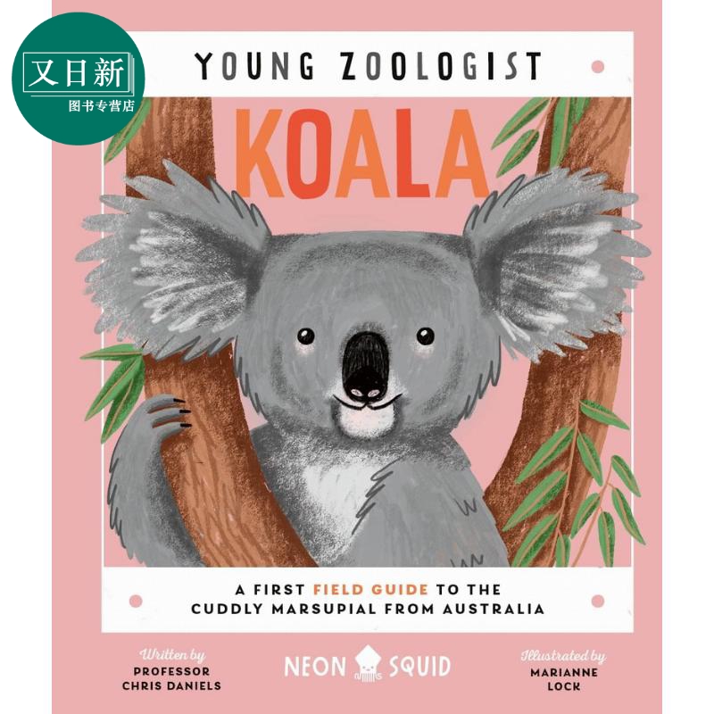 Young Zoologist：Koala 小动物家：澳洲考拉 英文原版进口 儿童百科绘本 动物科普知识图书 精装知识绘本童书 又日新