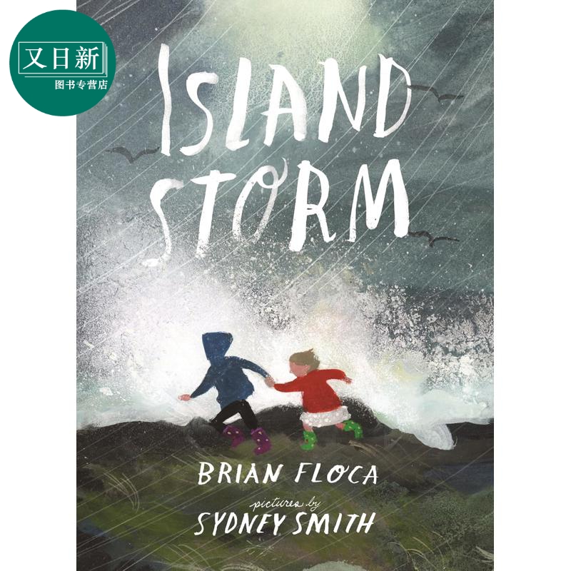 小岛风暴IslandStorm