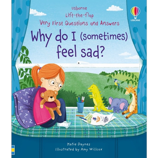 Very First Questions & Answers: Why do I (sometimes) feel sad?你问我答系列:为什么有时候感到难过 英文原版 又日新