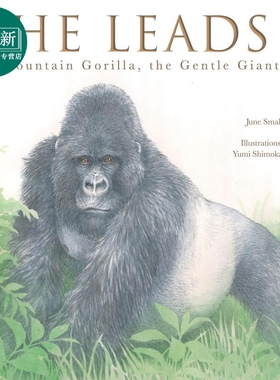 He Leads 他的带领 英文原版儿童绘本 故事绘本 June Smalls 6到9岁 又日新