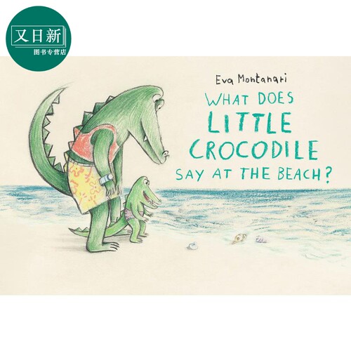 Eva Montanari 小鳄鱼在海滩 What Crocodile Say Beach 儿童绘本 动物故事图画书 亲子朗读 英文原版 进口图书 又日新