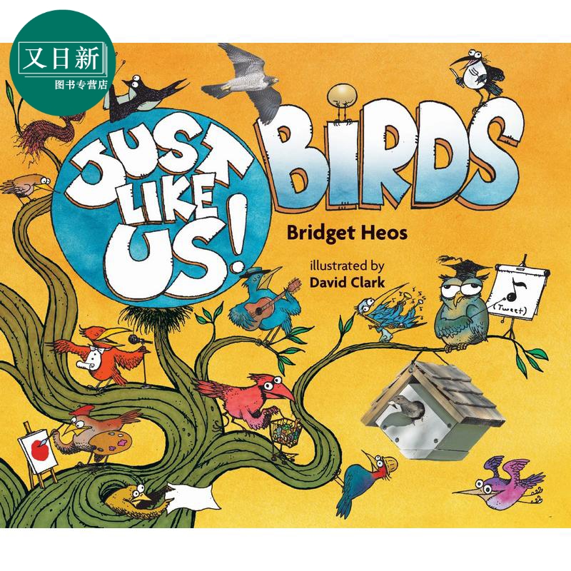 鸟类的世界 Just Like Us! Birds 英文原版 儿童科普绘本 动物知识百科图画书 有趣真实的科学读本 童书儿童读物 又日新