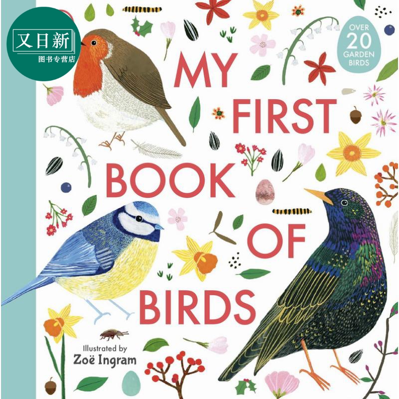 我的观鸟指南 My First Book of Birds 英文原版 儿童科普绘本 鸟类知识百科图画书 精品绘本 进口 Zoe Ingram 又日新