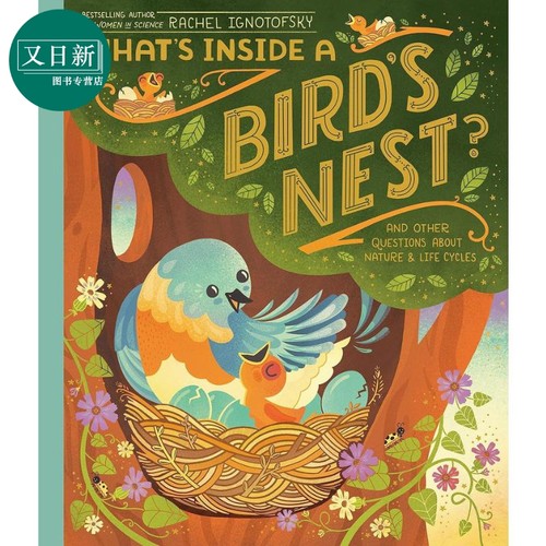 鸟巢的构造 Rachel Ignotofsky Whats Inside A Birds Nest英文原版 儿童科普绘本 动物图画书 精装进口童书4-7岁 又日新