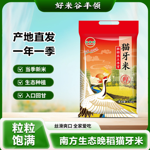 2025年优质新米长粒香大米猫牙香米非真空新鲜便宜晚稻正宗猫牙米