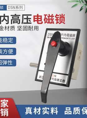 户内高压电磁锁 DSN-BMY/Z高压开关柜I-YZ反向电磁锁手柄式AC220v