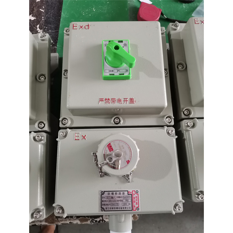防爆断路器BDZ52-2P3P4P16A32A40A63A 防爆漏电断路器带检修插销