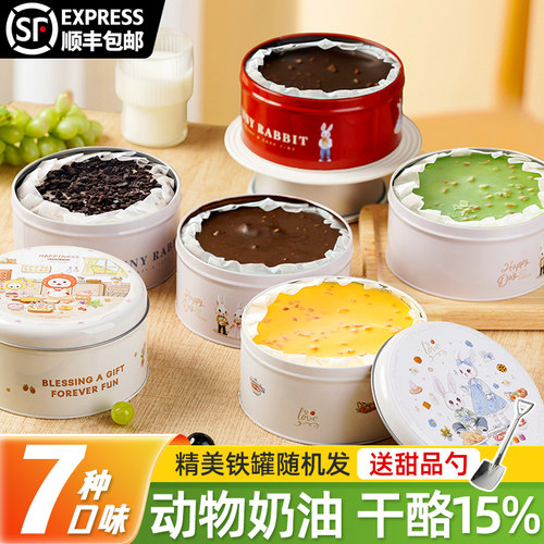 铁罐子蛋糕盒子千层慕斯甜品动物奶油脆皮巧克力蓝莓开心果小蛋糕