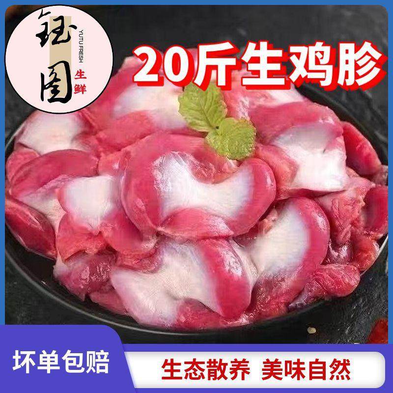 新鲜冷冻鸡胃鸡杂鸡胗现杀品质肚子火锅烧烤食材