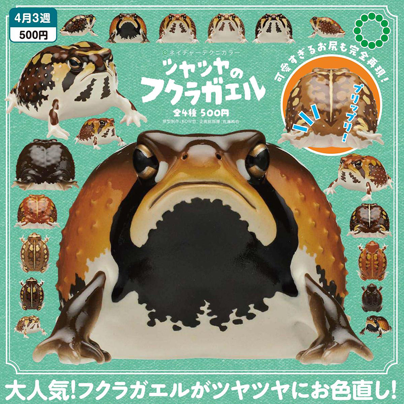 日本正版IKIMON土中馒头蛙