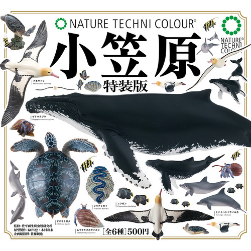 日本正版IKIMON小笠原特装版