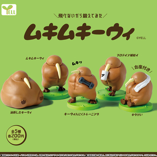 日本正版YELL 壮壮几维鸟扭蛋 肌肉锻炼健身创意小鸟潮玩摆件模型