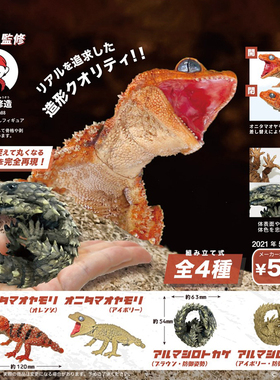 日本正版SO-TA 第1弹 蜥蜴手办扭蛋 爬宠豹纹犰狳蜥 棘皮瘤尾守宫