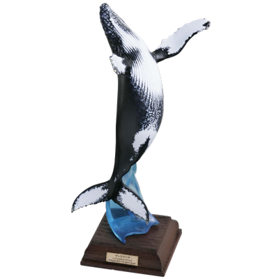 日本正版IKIMON海洋生物特装版