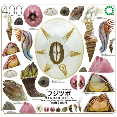 日本正版IKIMON藤壶冰箱贴&吊饰